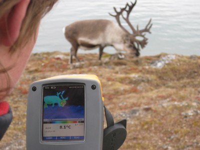 Janwillen takes a thremal image of a reindeer